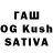 БУТИРАТ буратино Saul Tarwitz
