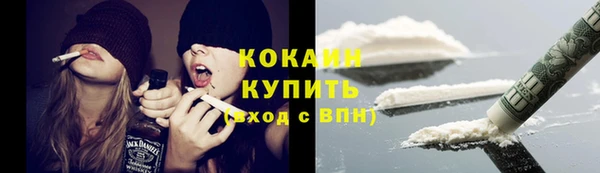 СК Зерноград