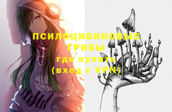 метадон Зеленодольск