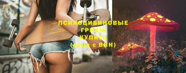 амф Зеленокумск