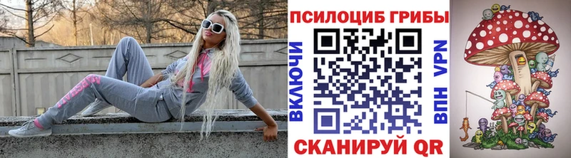 ссылка на мегу   Кизел  Псилоцибиновые грибы Psilocybe 